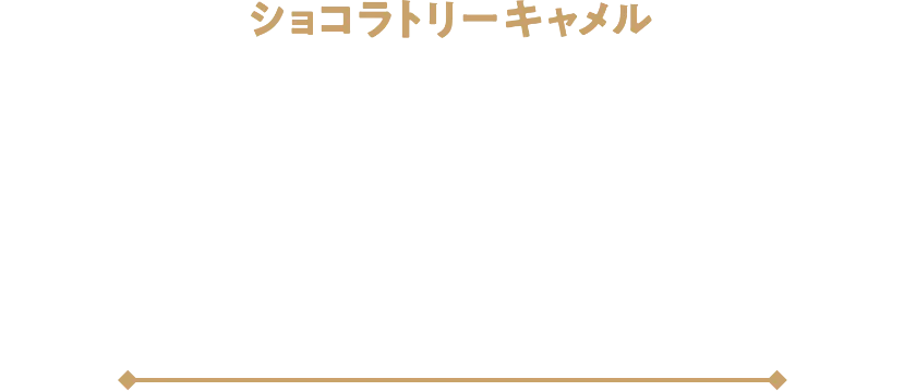 CHOCOLATERIE CAMEL