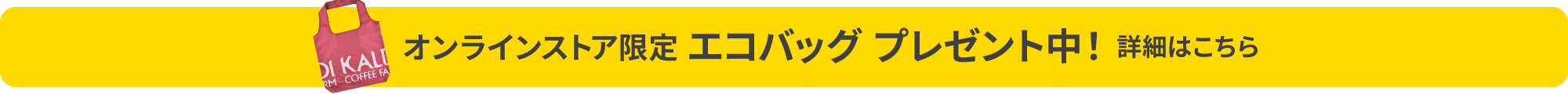 エコバッグプレゼント