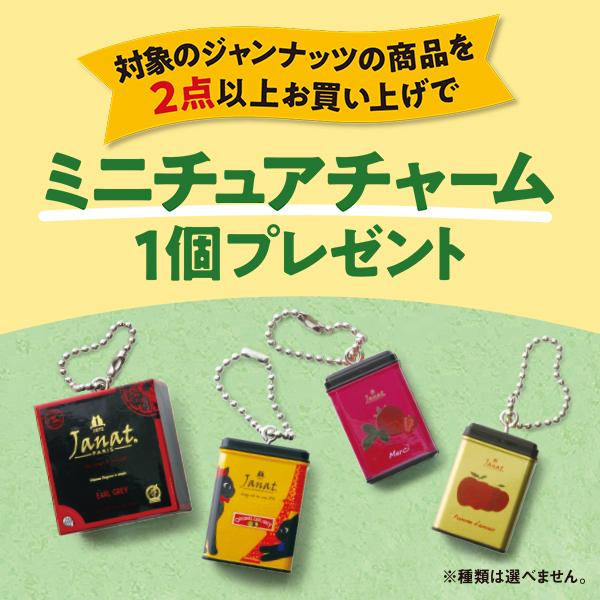 ミニチュアチャームプレゼント