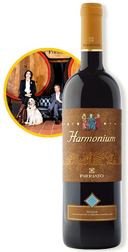 スタンダードコース左