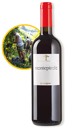 スタンダードコース左