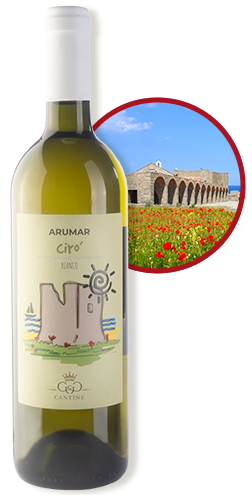 スタンダードコース右