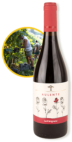 スタンダードコース左