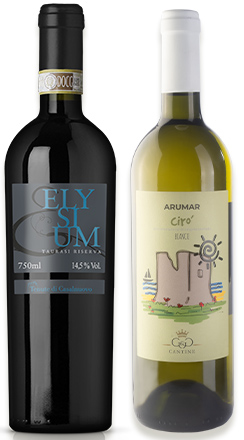 スタンダードコース過去お届けしたワイン