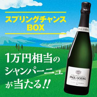 【お酒】スプリングチャンスBOX　1本