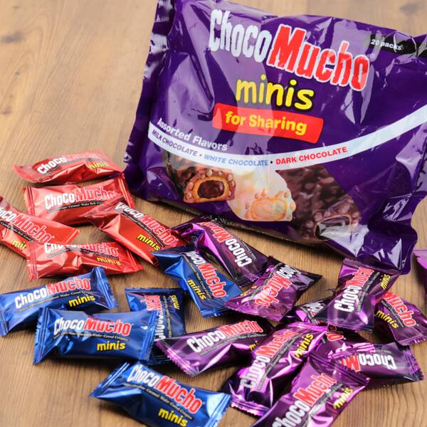 レビスコ　チョコムーチョ　ミニ　アソート　20p