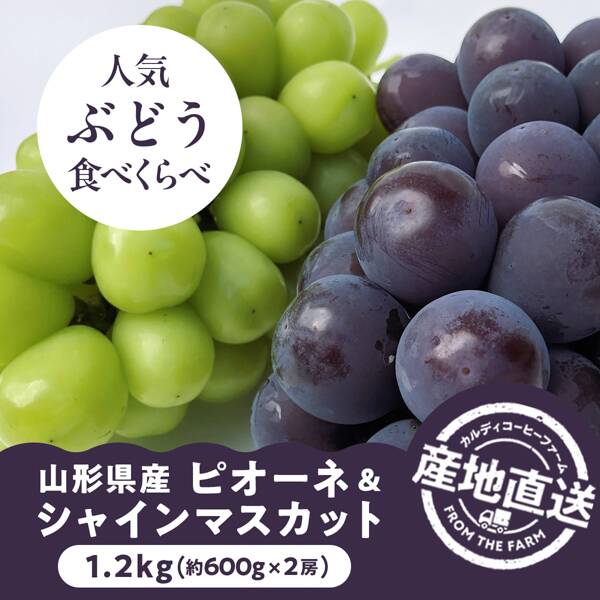 ぶどう