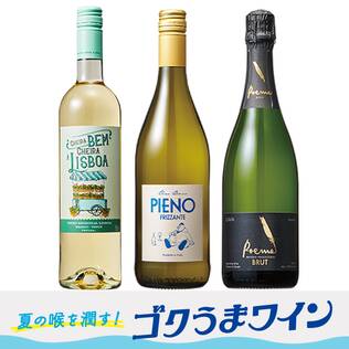 【お酒】オンラインストア限定　夏の喉を潤す！ゴクうまワイン　厳選3本セット