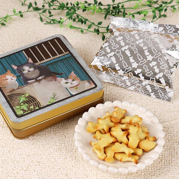 レトロねこスクエア缶　ビスケット（ハチワレ）　25g