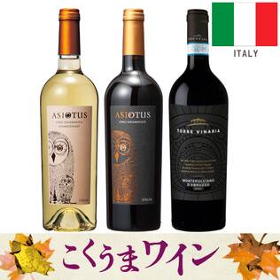 【お酒】オンラインストア限定　こくうまワイン　厳選3本セット