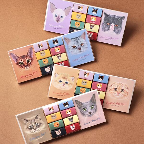 キャット　メモパット　チョコレート　40g　