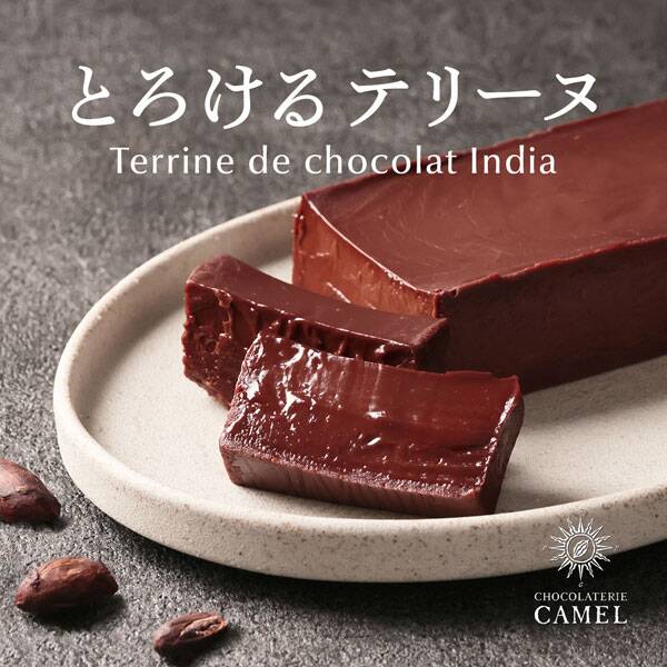 【予約販売】オンラインストア限定　ショコラトリーキャメル　テリーヌドショコラ（インド）1本　冷凍●送料込み●【２月下旬お届け】