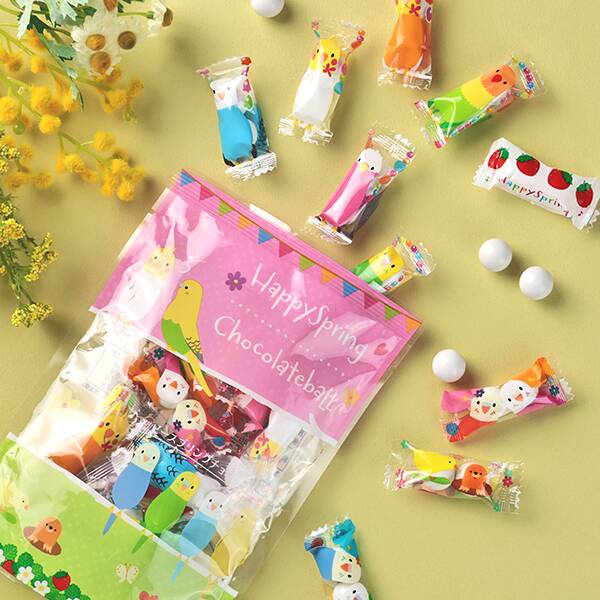 ニューエスト　ハッピースプリング　チョコレートボール　65g