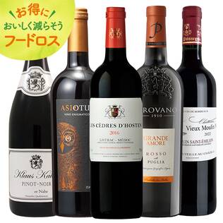 ＜訳あり品＞【お酒】オンラインストア限定　ボルドー入り！濃旨赤ワイン　厳選5本セット