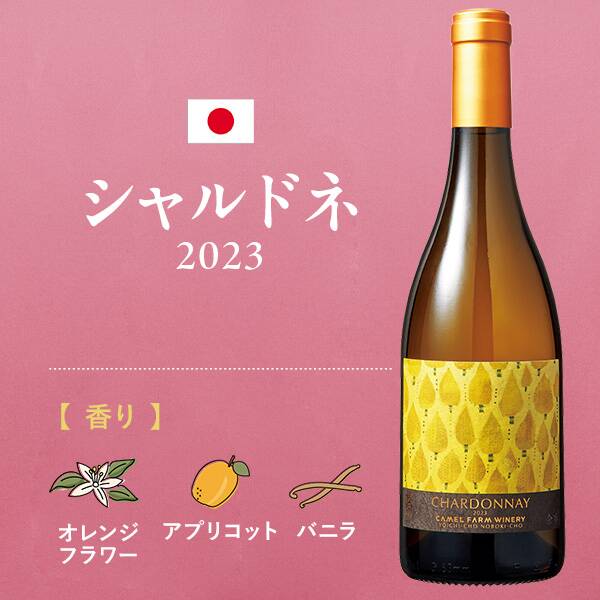 【お酒】シャルドネ　2023　（白） 750ml