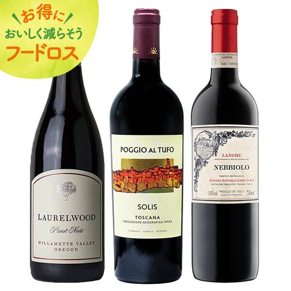 ＜訳あり品＞【お酒】オンラインストア限定　贅沢イタリア＆アメリカ赤ワイン　厳選3本セット