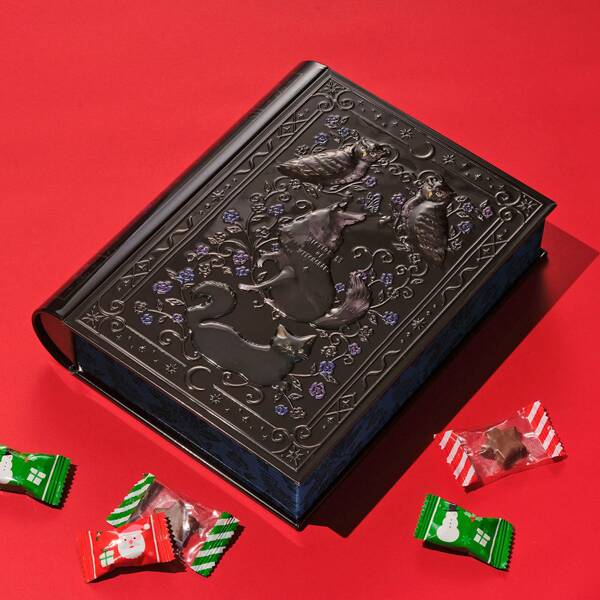 魔法辞書カレンダー缶2025　1個【クリスマス】