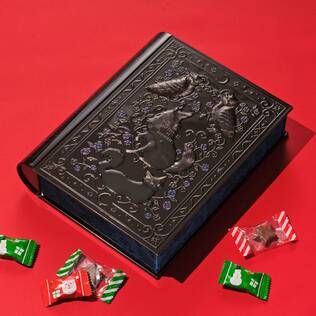 魔法辞書カレンダー缶2025　1個【クリスマス】