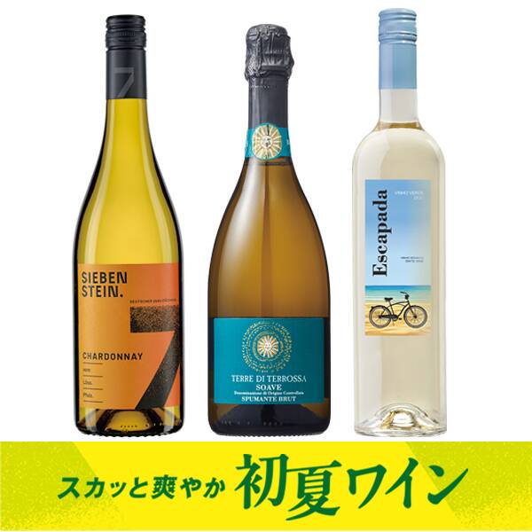 【お酒】オンラインストア限定　スカッと爽やか初夏ワイン　厳選3本セット