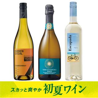 【お酒】オンラインストア限定　スカッと爽やか初夏ワイン　厳選3本セット