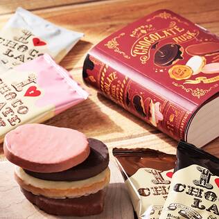 オンラインストア限定　チョコがけラスク　4枚BOOK　4種アソート