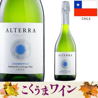 【お酒】ヴィーニャ・サン・エステバン アルテラ スパークリングワイン シャルドネ エクストラ・ブリュット(白・発泡) 750ml