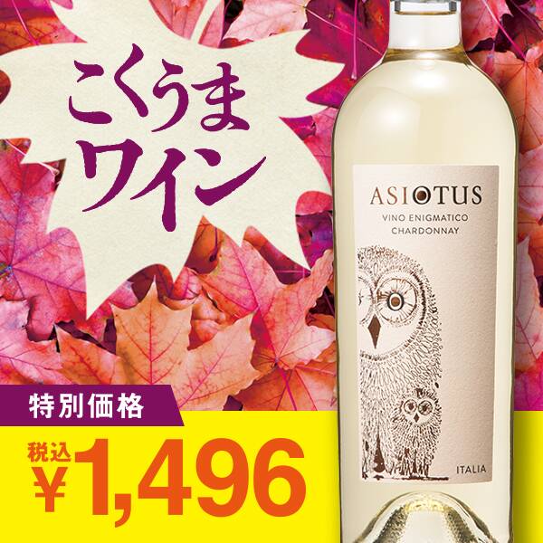 【お酒】アシオ・オトゥス　シャルドネ（白）　750ml