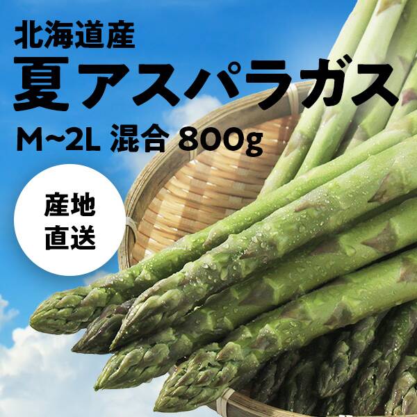 【予約販売】【冷蔵】オンラインストア限定　北海道産夏アスパラガス　800g（M-2Lサイズ混合）●産地直送・送料込み●