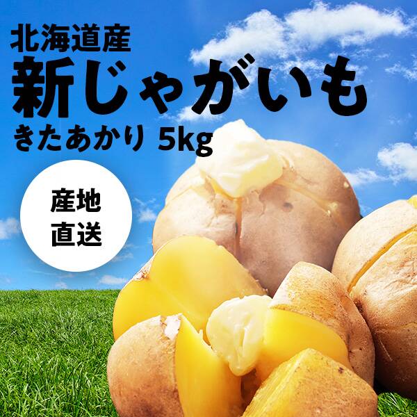 予約販売】オンラインストア限定 北海道産新じゃがいも きたあかり 5kg