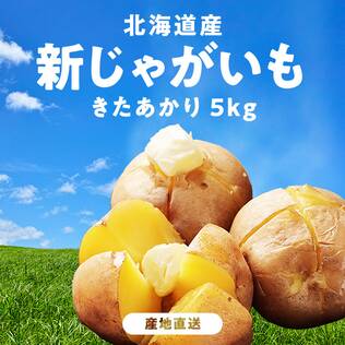 【予約販売】オンラインストア限定　北海道産新じゃがいも　きたあかり　5kg●産地直送・送料込み●