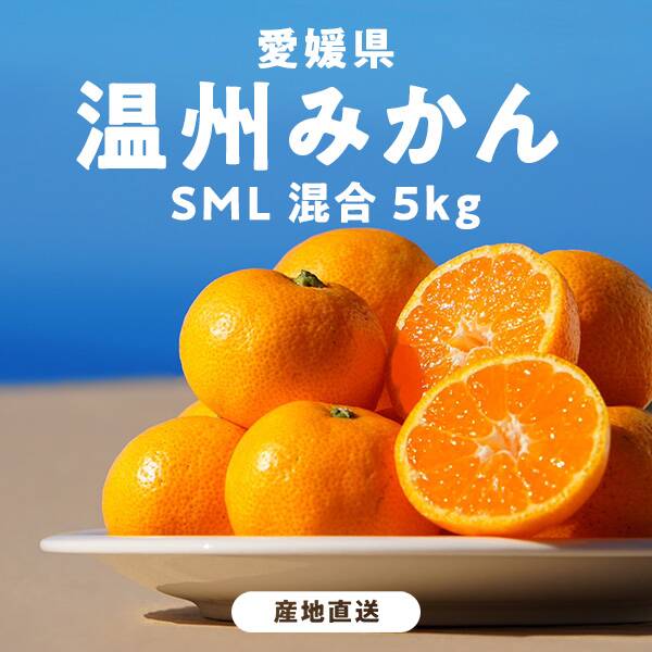 【予約販売】オンラインストア限定　愛媛県産　温州みかん　5kg（SML混合）●産地直送・送料込み●【11月中旬以降お届け予定】