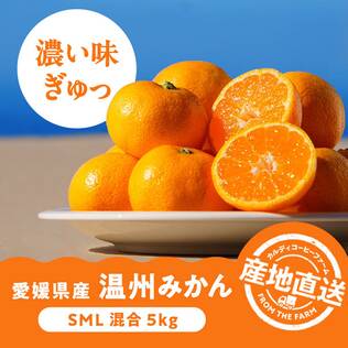 【予約販売】オンラインストア限定　愛媛県産　温州みかん　5kg（SML混合）●産地直送・送料込み●【12月中旬-下旬お届け予定】