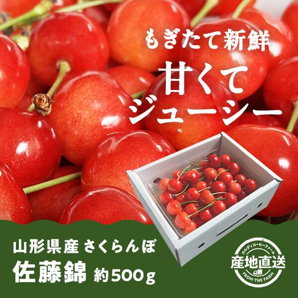 さくらんぼ