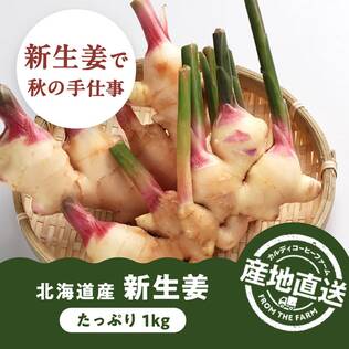 【予約販売】【冷蔵】オンラインストア限定　北海道産新生姜　1kg●産地直送・送料込み●【9月下旬-10月中旬頃お届け】
