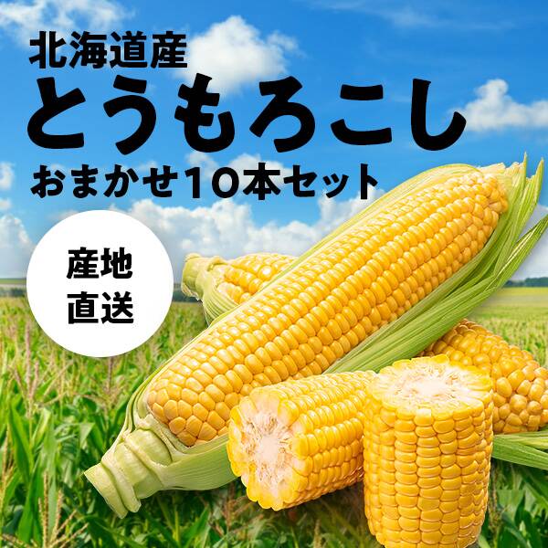 【予約販売】【冷蔵】オンラインストア限定　北海道産とうもろこし　おまかせ10本セット●産地直送・送料込み●