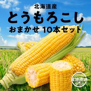 【予約販売】【冷蔵】オンラインストア限定　北海道産とうもろこし　おまかせ10本セット●産地直送・送料込み●【7月下旬-8月中旬お届け】