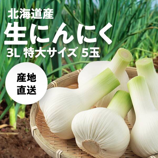 【予約販売】【冷蔵】オンラインストア限定　北海道産生にんにく　特大3Lサイズ5玉●産地直送・送料込み●