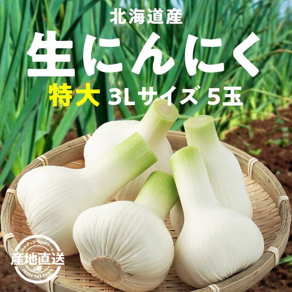 【予約販売】【冷蔵】オンラインストア限定　北海道産生にんにく　特大3Lサイズ5玉●産地直送・送料込み●