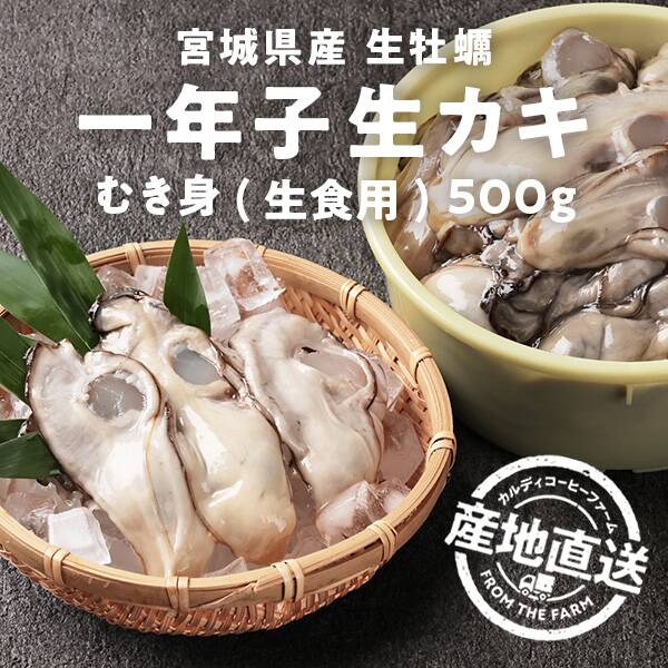 <b>濃厚な生牡蠣を産地直送でお届け</b><br>数量限定！宮城県産の一年子生牡蠣は身がプリッと引き締まり濃厚な旨味をしっかりと味わえます。