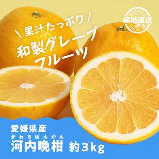 【予約販売】オンラインストア限定　愛媛県産河内晩柑（かわちばんかん）　3kg●産地直送・送料込み●【6月上-中旬頃お届け予定】