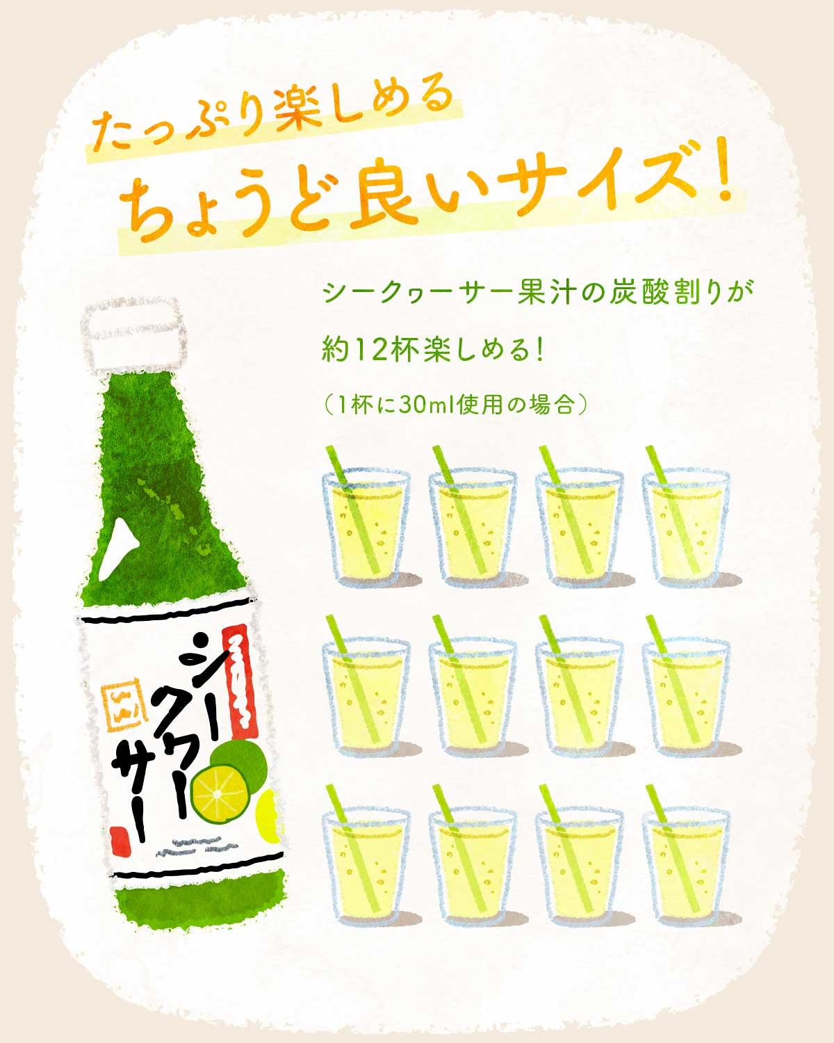 沖縄県産シークヮーサー果汁2本セット